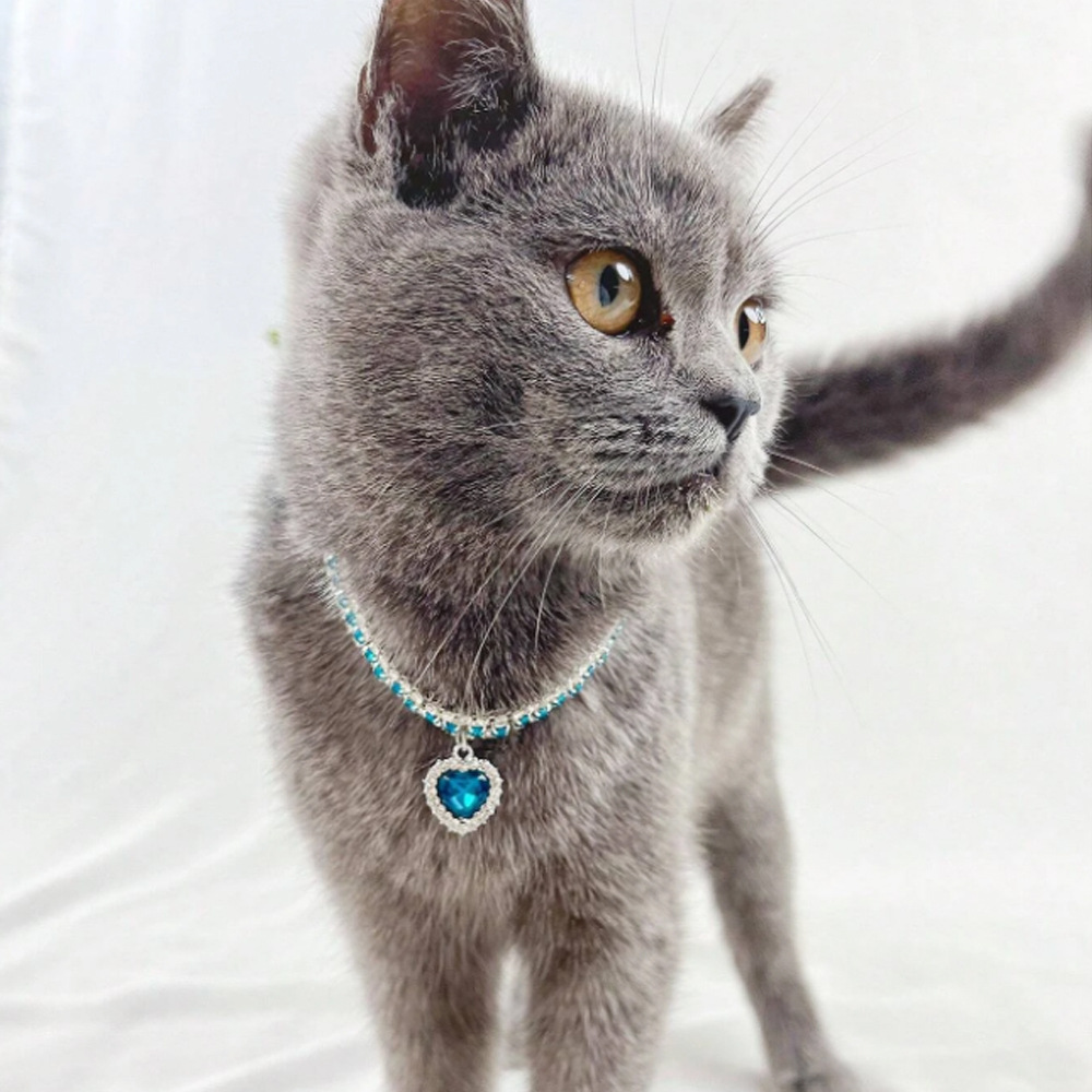 Rhinestone pet necklace